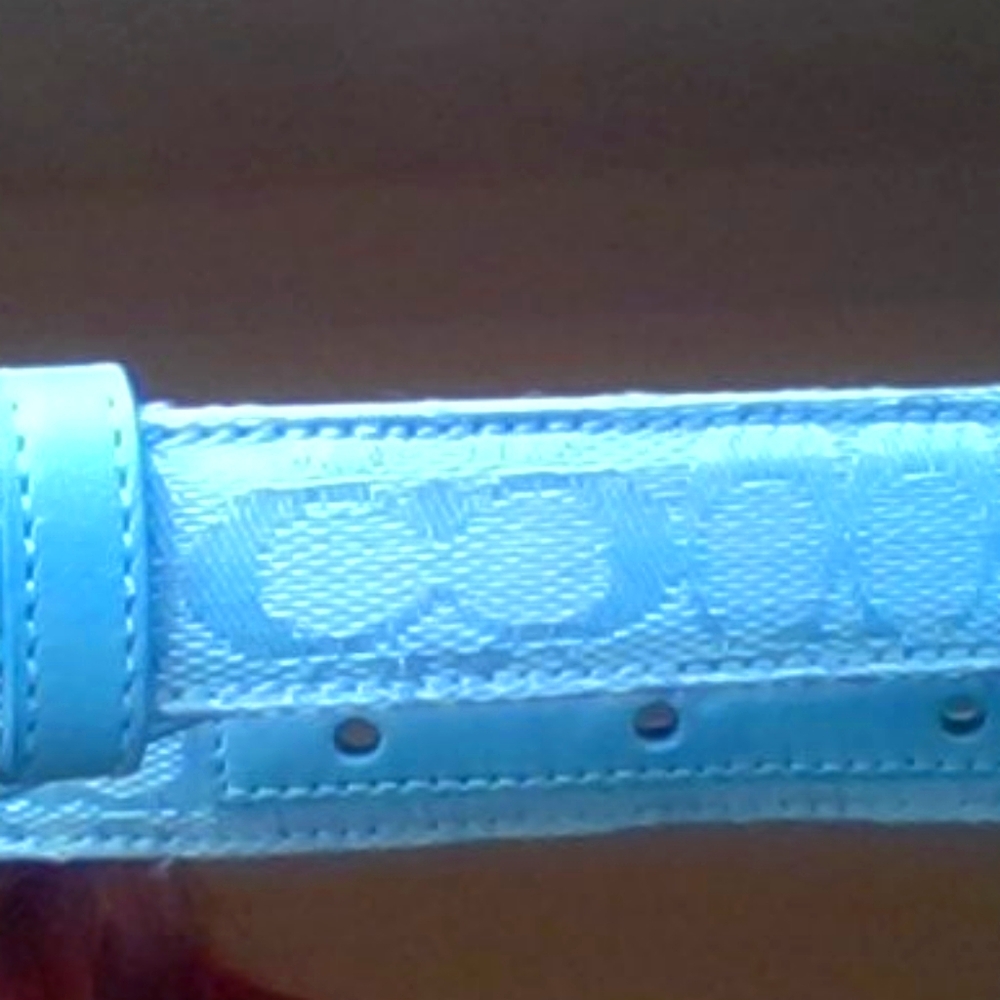 Coach belt